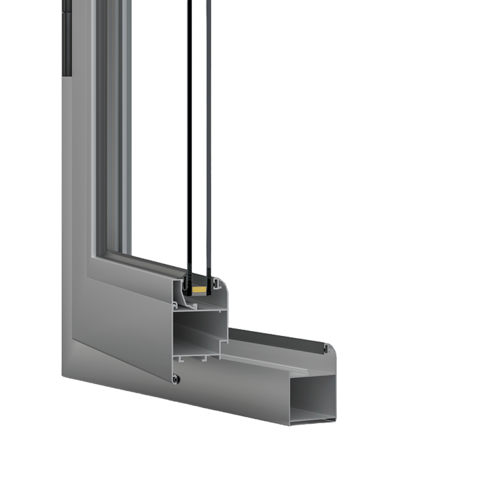 Champion - Изображение